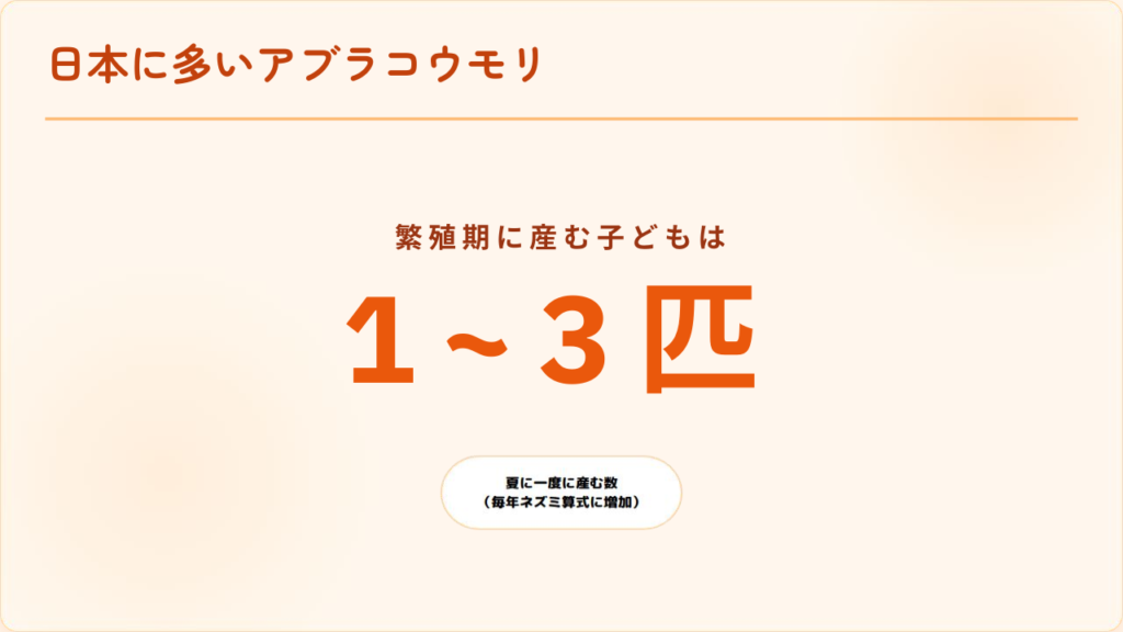 日本に多いアブラコウモリは繁殖力が高い