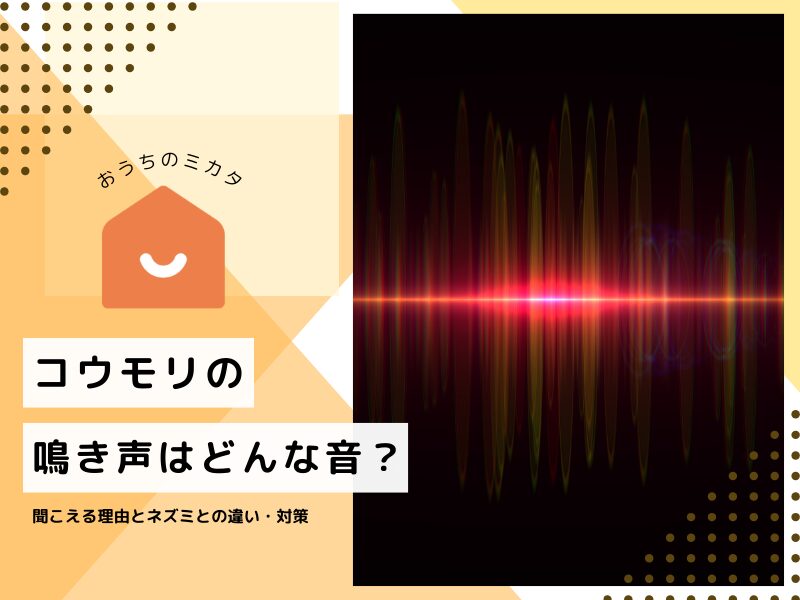 コウモリの鳴き声はどんな音？聞こえる理由とネズミとの違い・効果的な