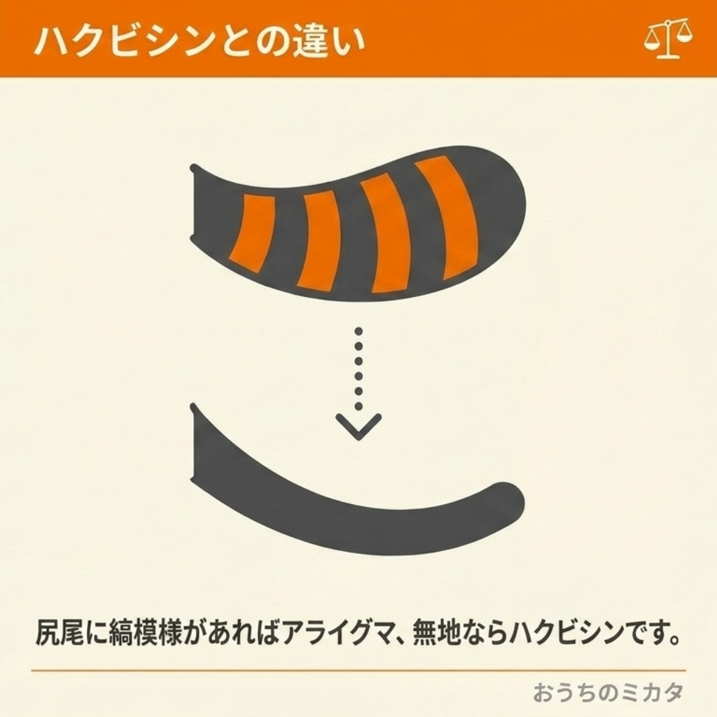 アライグマとハクビシンの見分け方