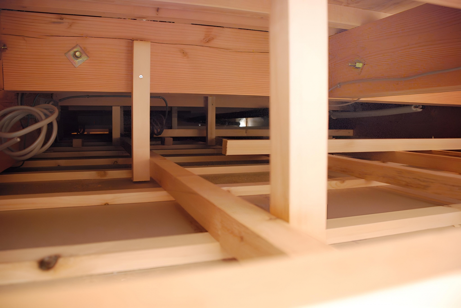 天井裏は害獣にとって理想の住処