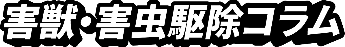 害獣・害虫駆除コラム