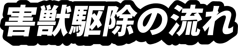 害虫駆除の流れ