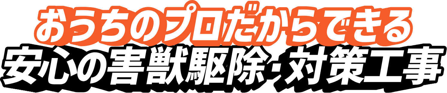 おうちのプロだからできる安心の害獣駆除・対策工事