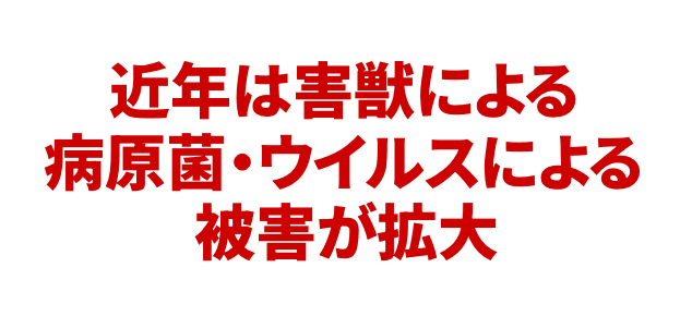 近年は害獣による病原菌・ウイルスによる被害が拡大