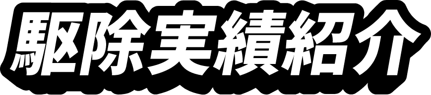 駆除実績紹介