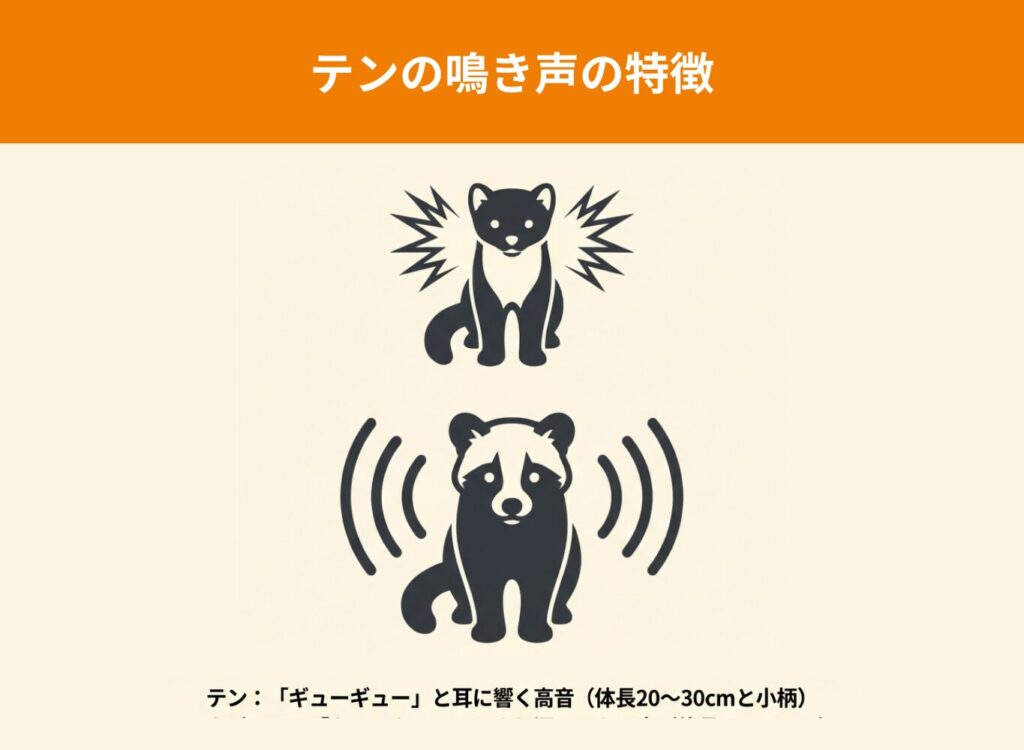 テンとの比較