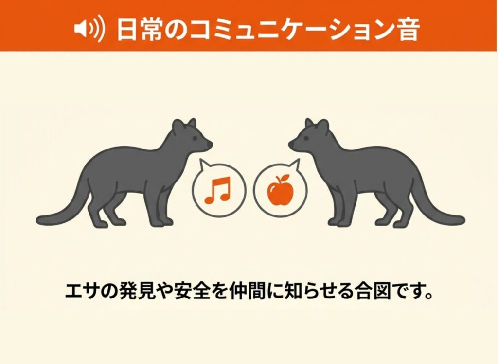 普段の鳴き声「キューキュー」「キィキィ」