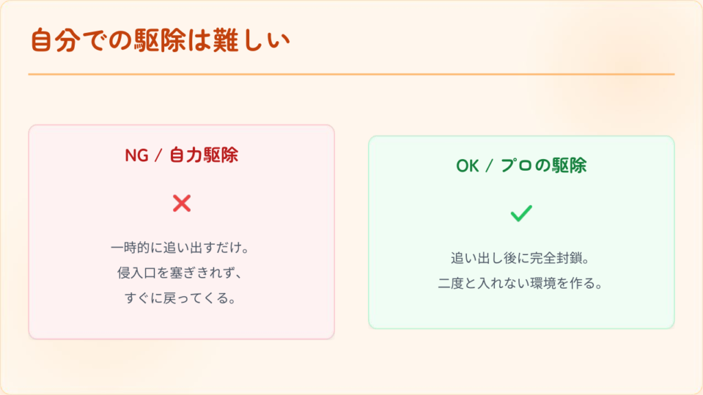 自分での駆除は難しい