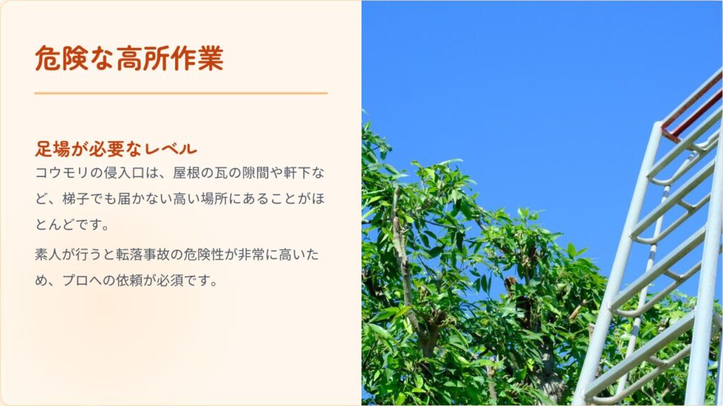 高所作業など危険を伴う