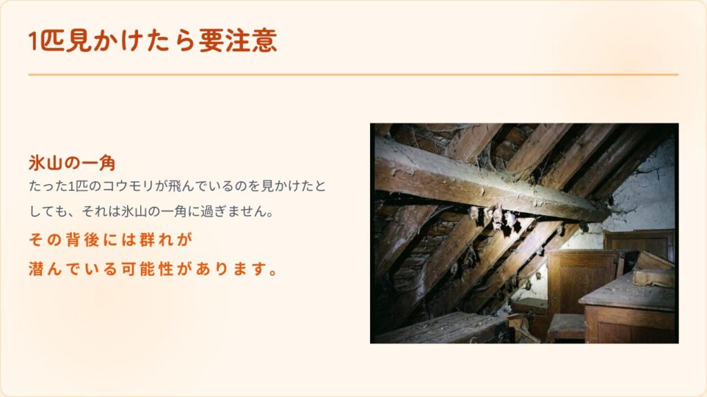 コウモリが一匹いたら何匹いる？