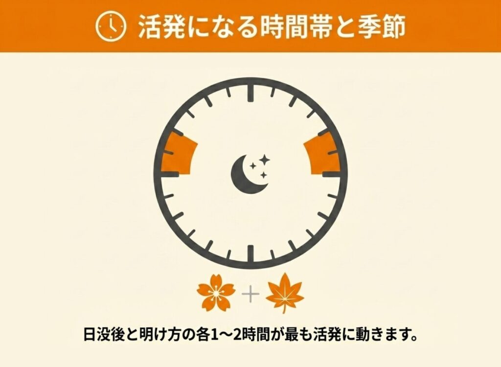鳴き声の聞こえる場所とタイミング
