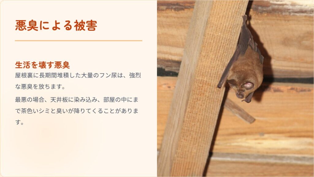 悪臭による被害