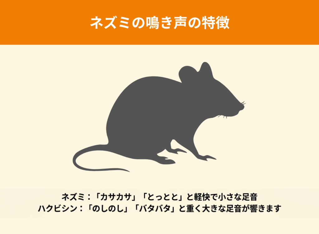 ネズミとの比較