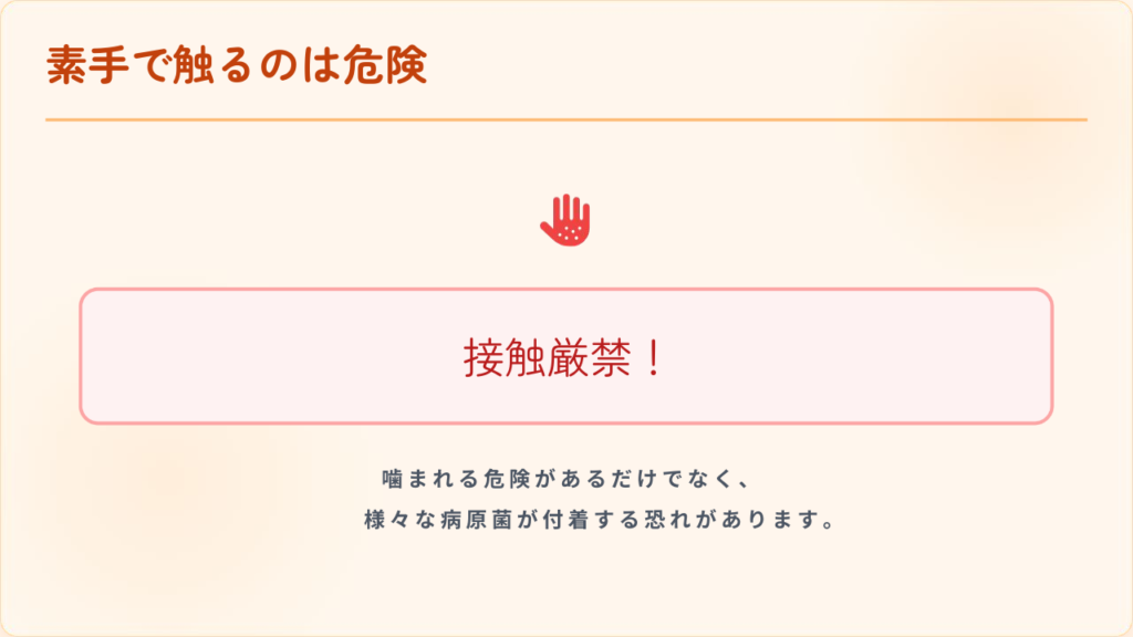 素手で触るのは危険