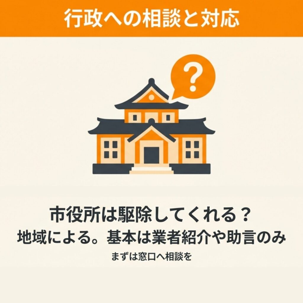 行政への相談と対応について説明するイラスト。市役所は基本的に業者紹介や助言のみ対応
