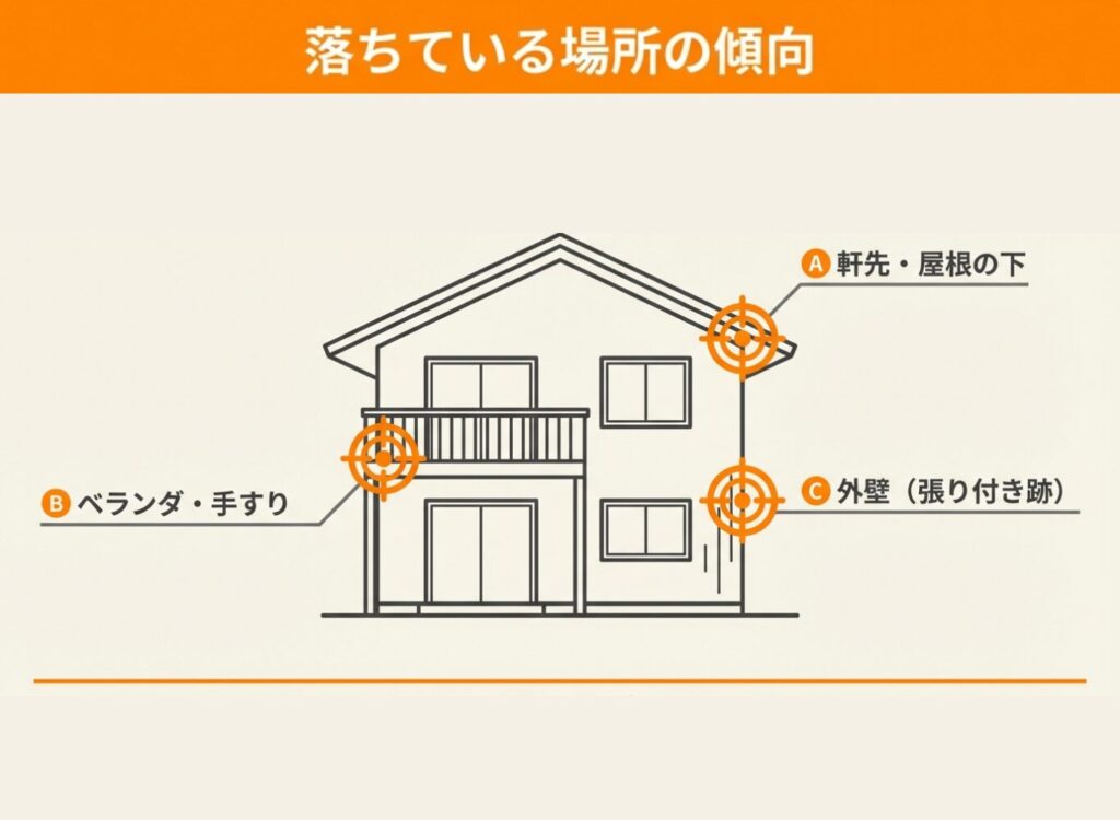 住宅におけるコウモリのフンが落ちやすい場所を示した図解。軒先・屋根の下、ベランダ・手すり、外壁（張り付き跡）