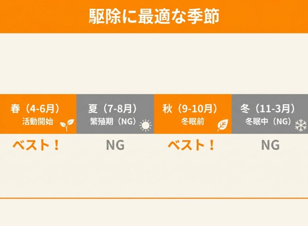 コウモリ駆除に最適な季節を示す図。春（4-6月）と秋（9-10月）がベスト、夏と冬はNG
