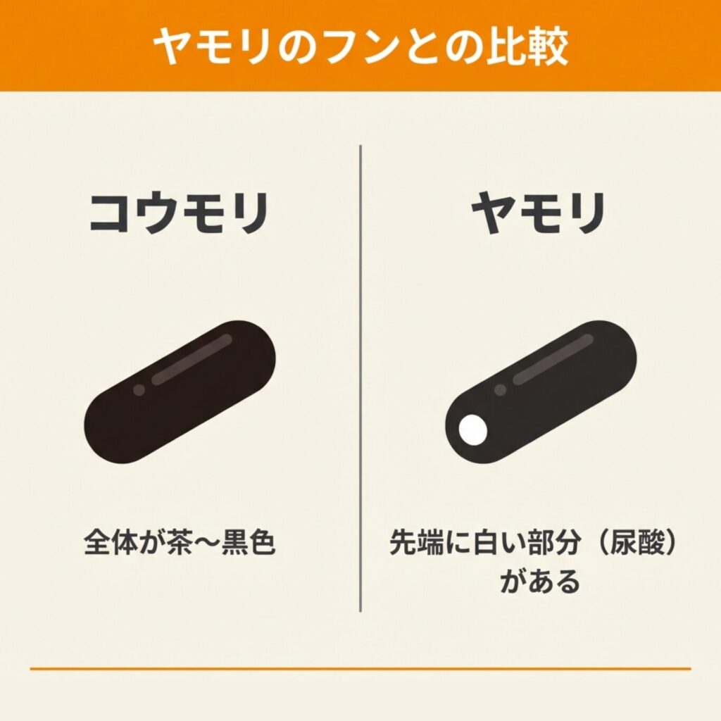コウモリとヤモリのフンの比較図。コウモリは全体が茶〜黒色、ヤモリは先端に白い部分（尿酸）がある