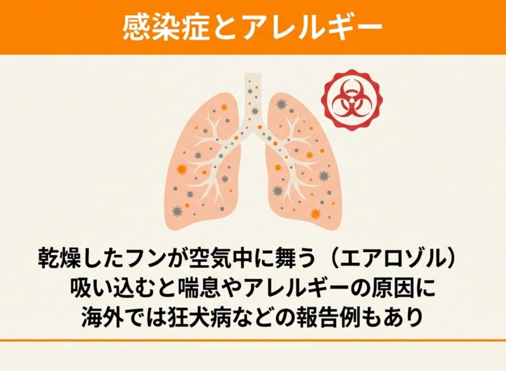 コウモリのフンによる住宅への深刻な被害を示すイラスト。木材の腐食（酸性）、天井や壁のシミ、建材に染みつく悪臭