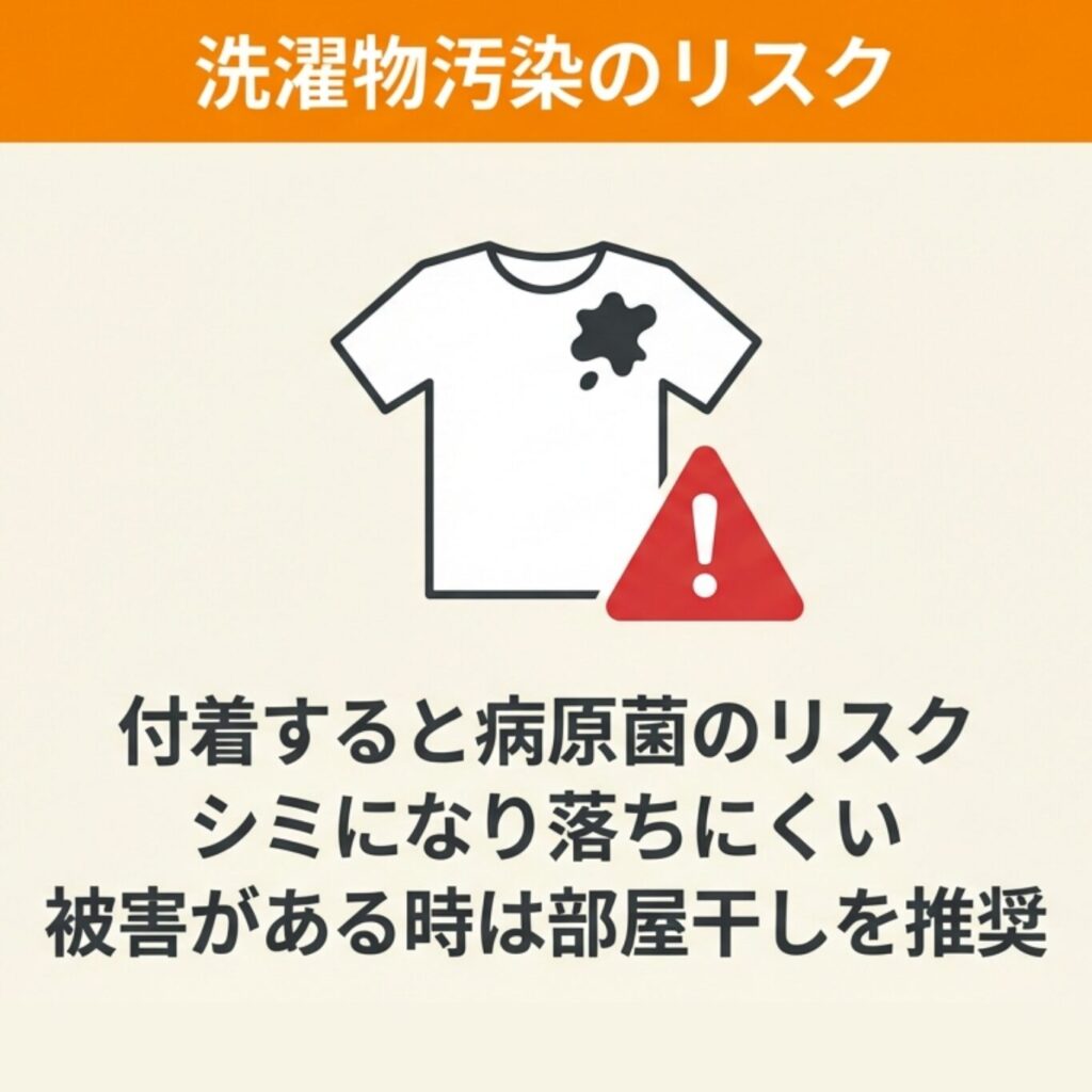 コウモリのフンによる洗濯物汚染のリスクを警告するイラスト。付着すると病原菌のリスク、シミになり落ちにくい