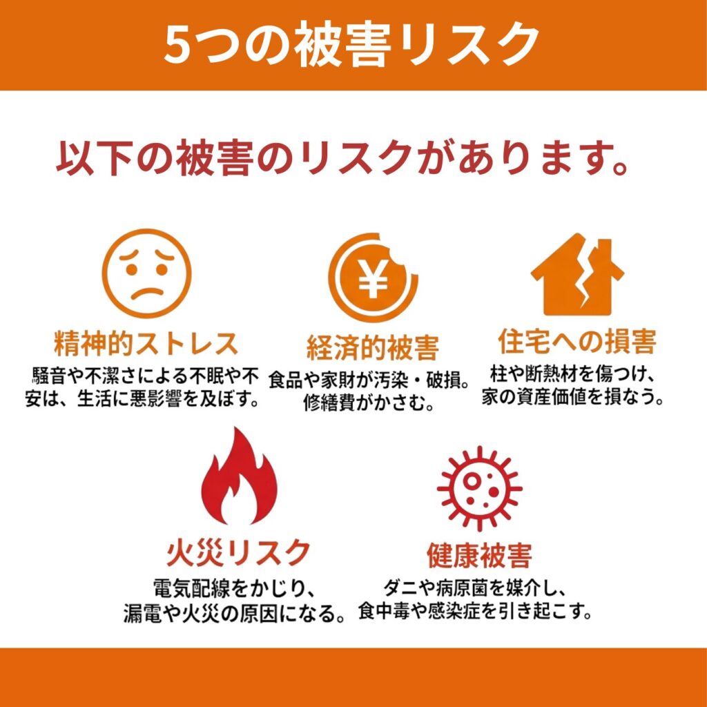 ネズミがいると家に起こる5つの被害リスク【健康・住宅被害】