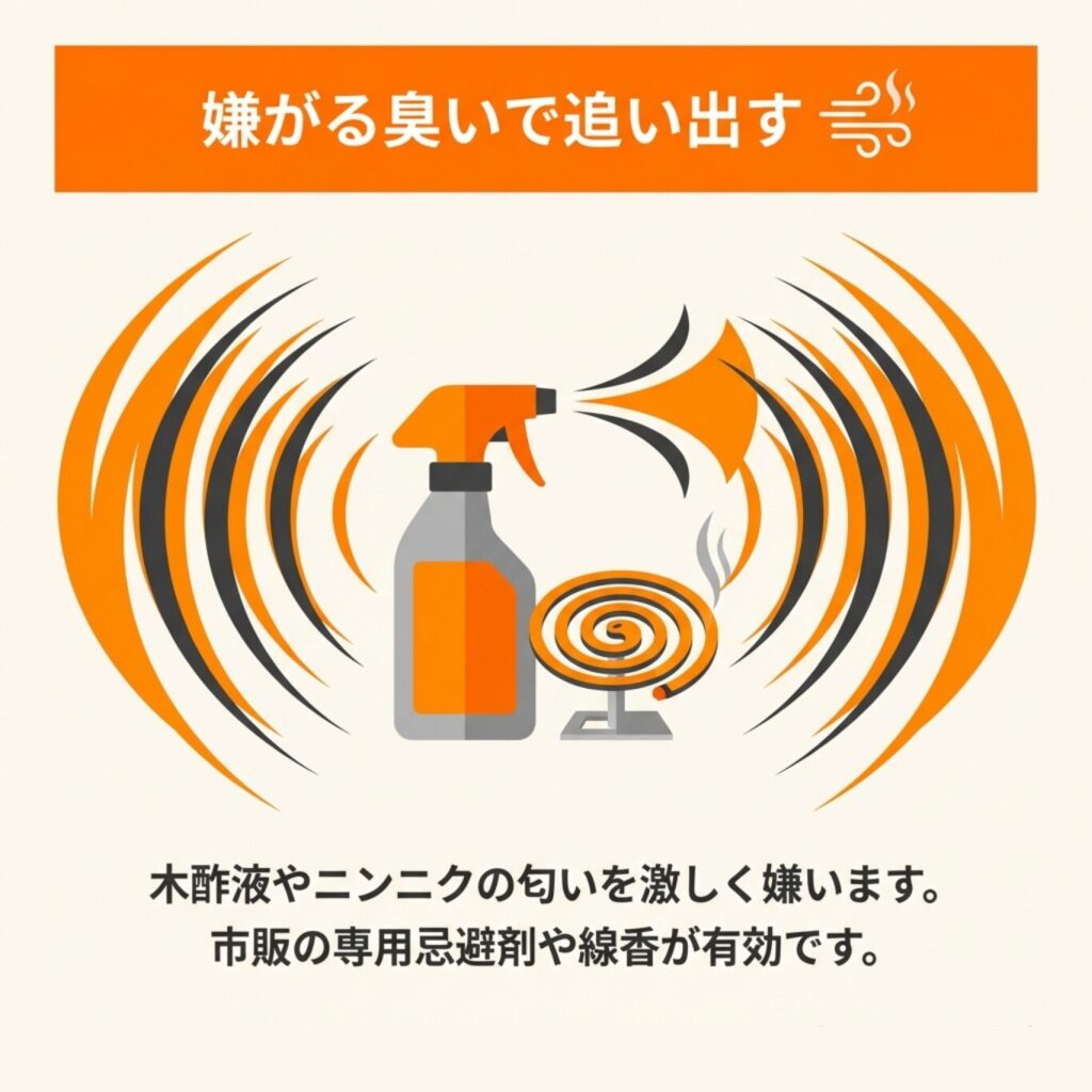 木酢液、ニンニク、専用忌避剤、線香など、ハクビシンが嫌う強い臭いによる追い出し対策の図解