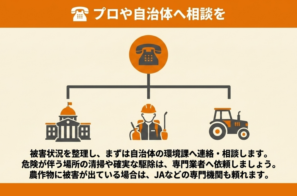 自治体の環境課、専門業者、JAなど被害の内容に応じた相談先を示した図