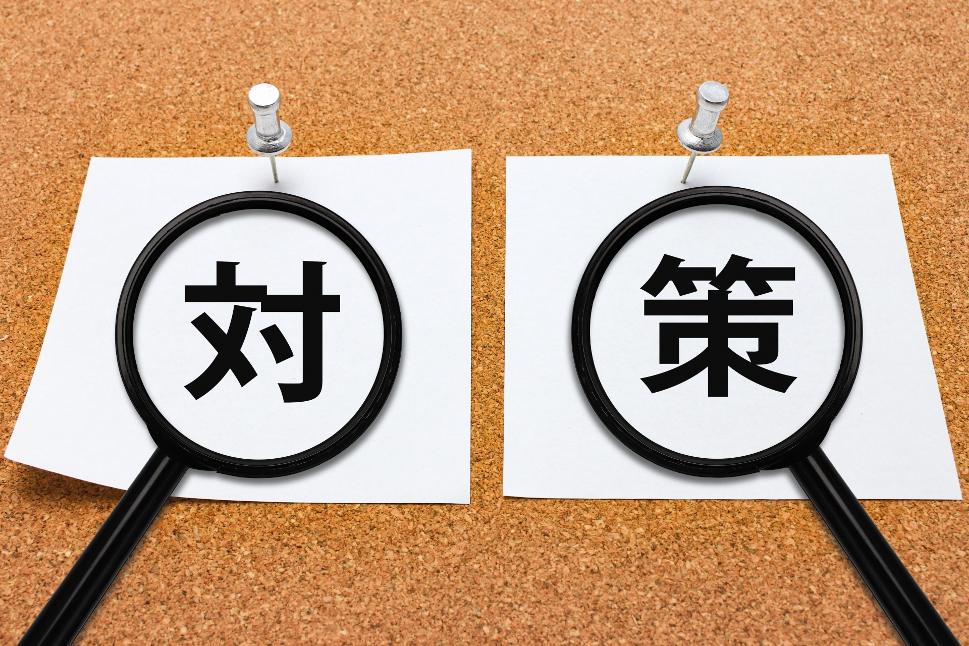 イタチとテンの違いとは?見分け方や被害の違い・駆除方法を解説|おうちのミカタ