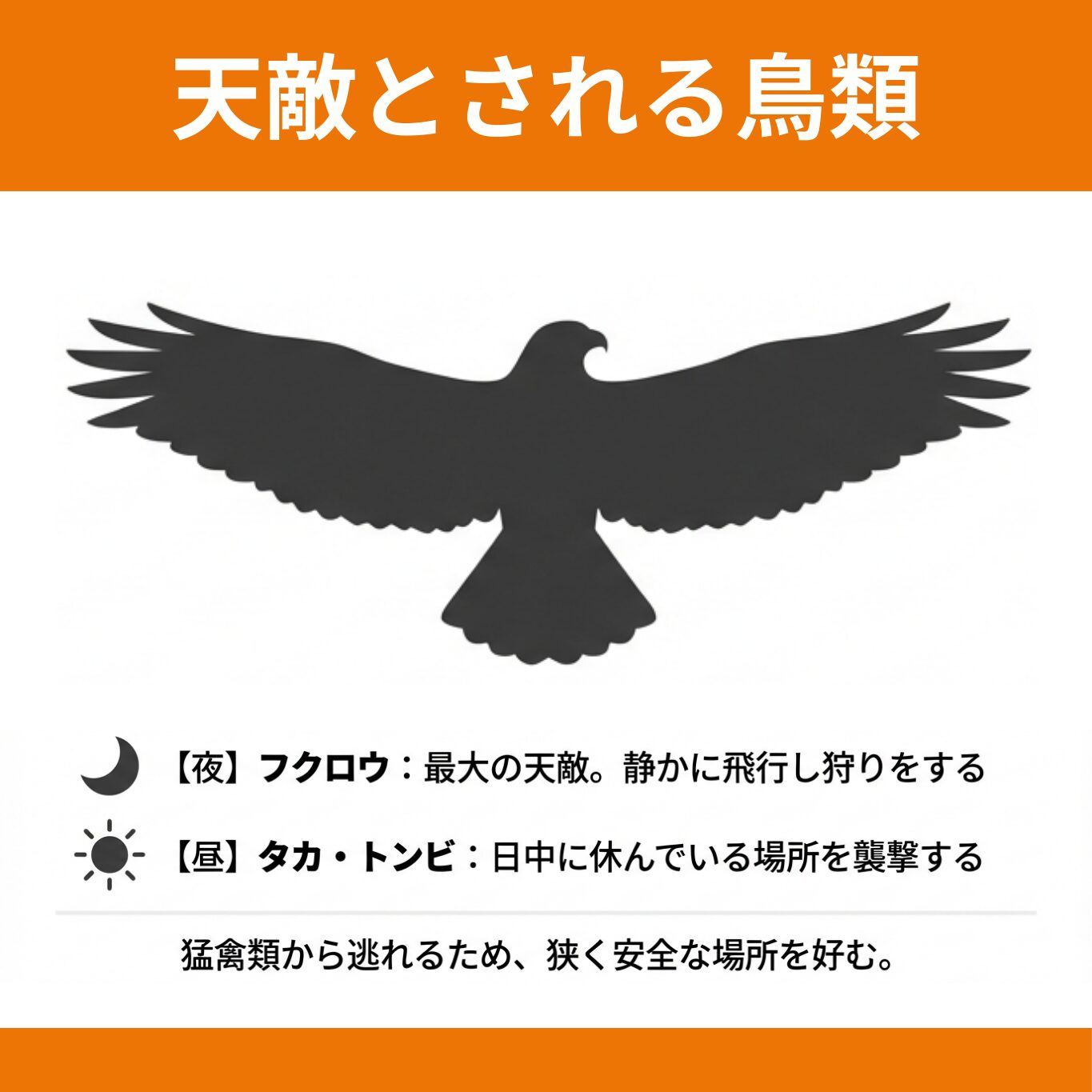 コウモリの天敵とは?天敵を利用した対策方法と寄せ付けない方法を解説|おうちのミカタ
