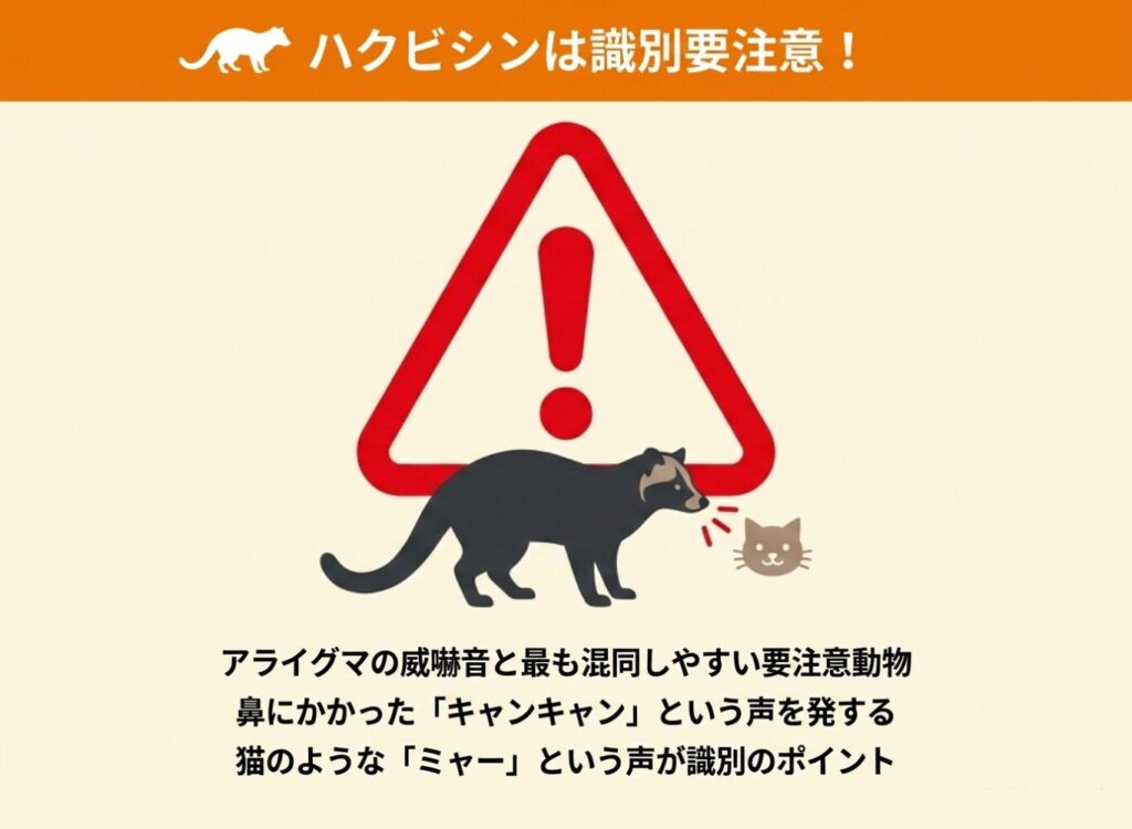 ハクビシンとの鳴き声の違い