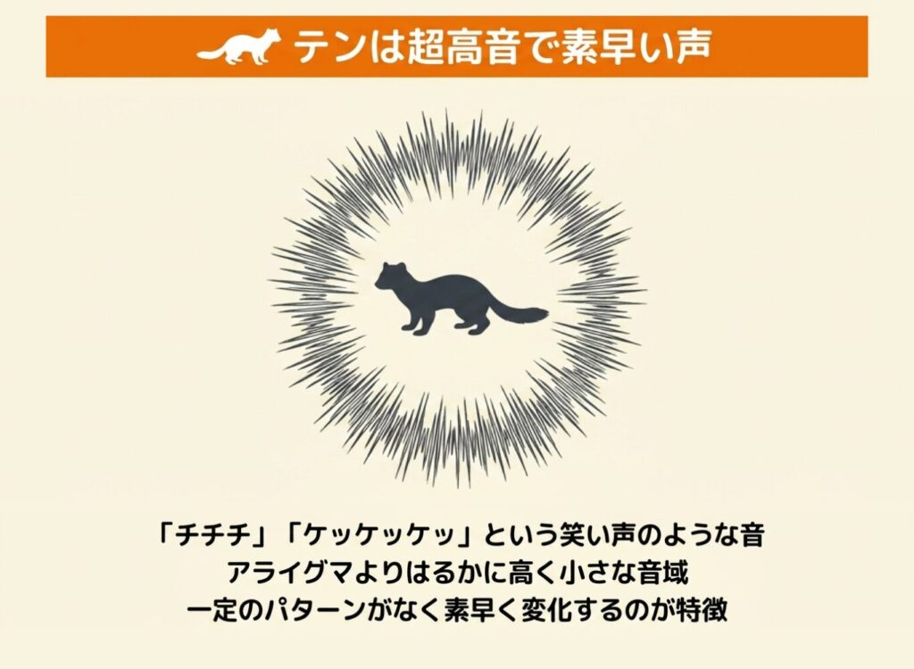 テンとの鳴き声の違い