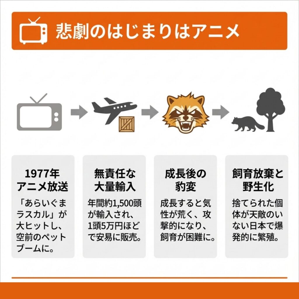 過去のアライグマペットブームの実態