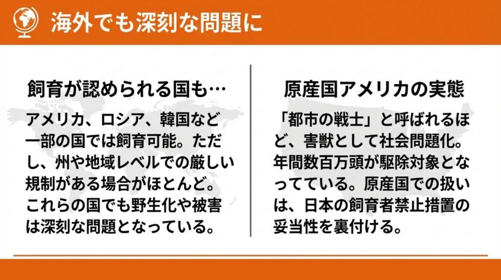 海外でのアライグマ飼育事情