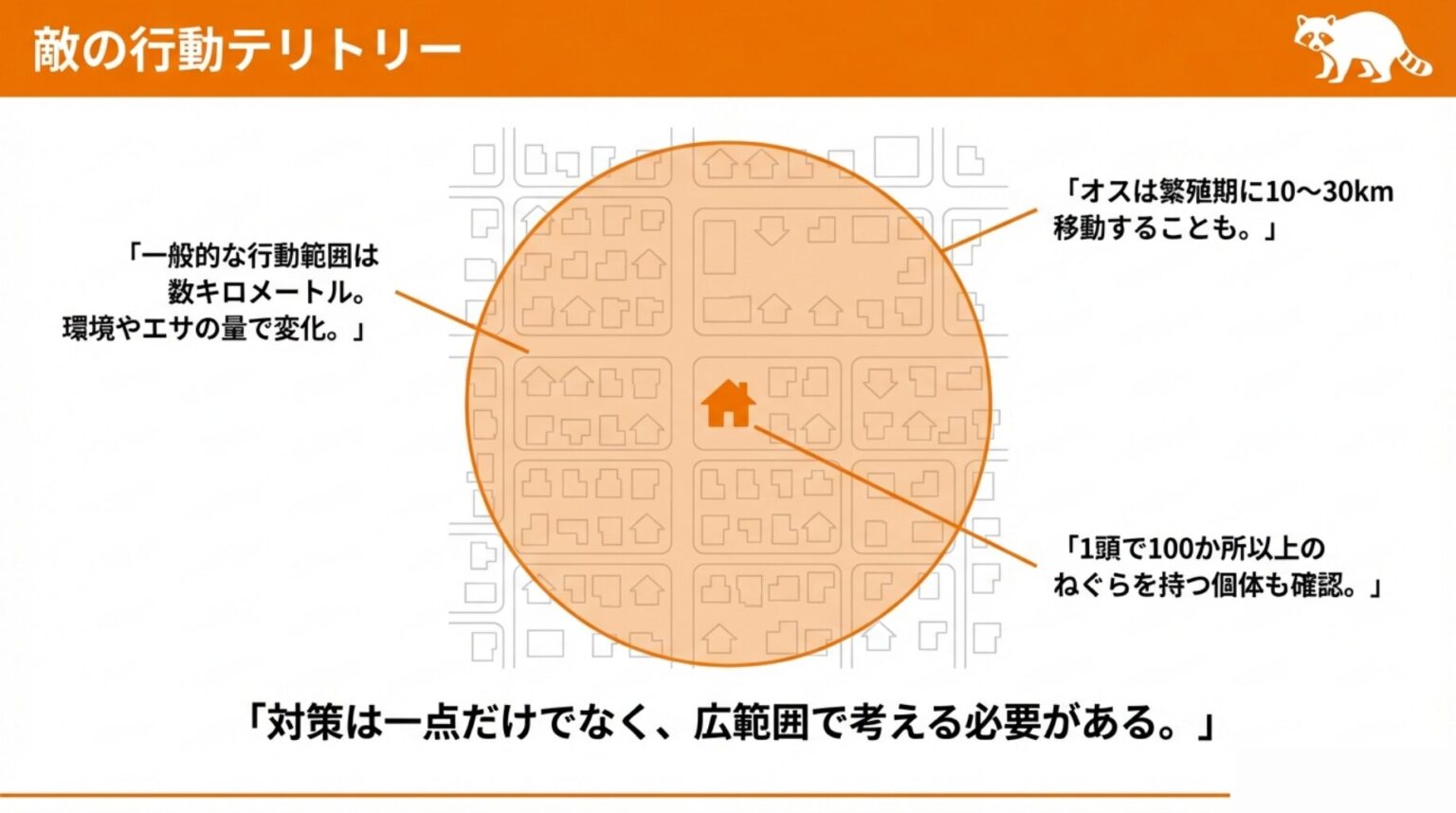 アライグマの行動範囲は？特徴的な行動時間や活動パターンも解説｜おうちのミカタ