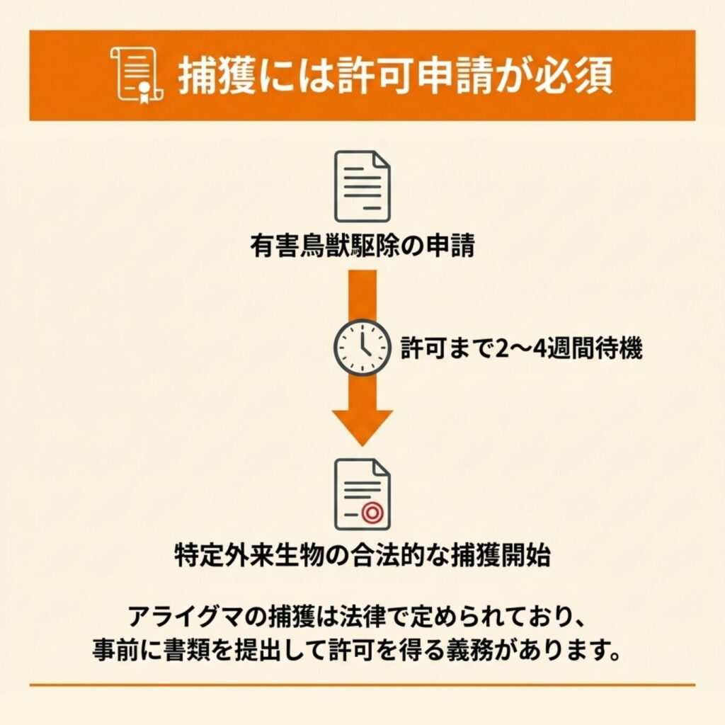 捕獲許可の申請手続きと必要書類