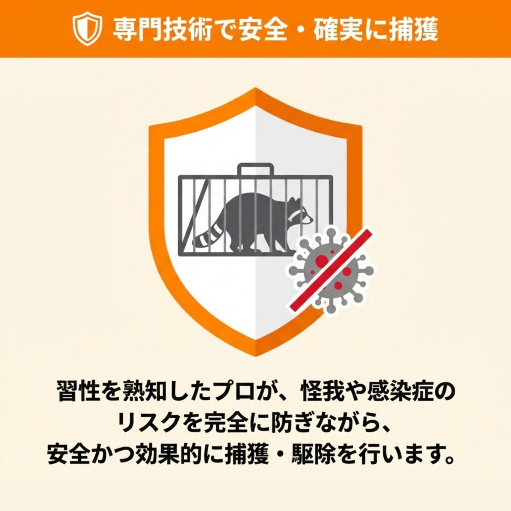 専門的な捕獲・駆除の実施