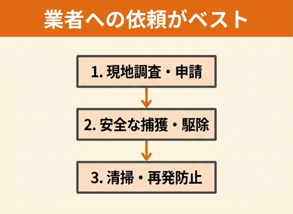 害獣駆除業者に直接依頼するメリット