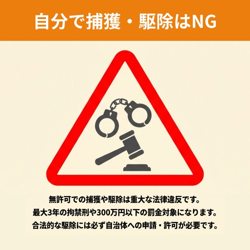 無許可での捕獲や駆除は法律違反