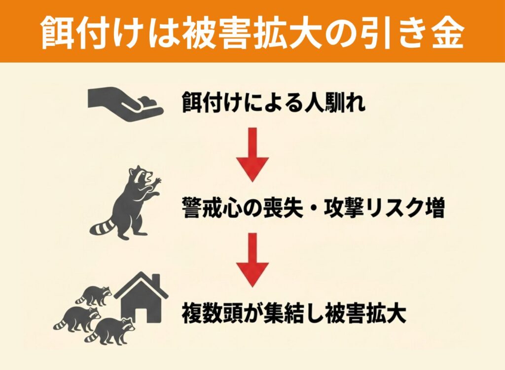 餌付けや食べ物を与える行為の問題点