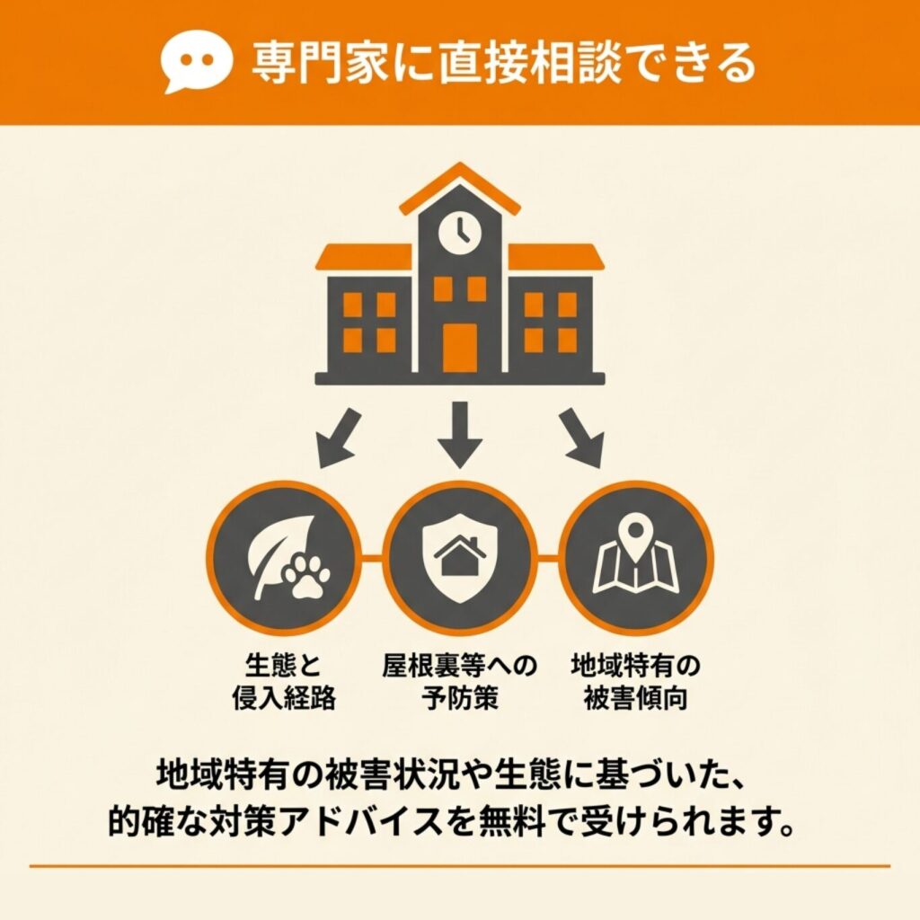 アライグマ被害に関する専門的なアドバイス