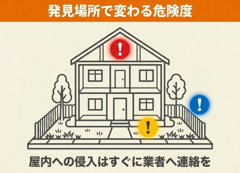 ハクビシンの発見場所による危険度の違い。屋根裏など屋内への侵入はすぐに業者へ連絡が必要