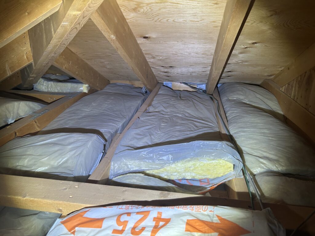 日進市のコウモリ駆除対策施工｜Ｏ様邸 1