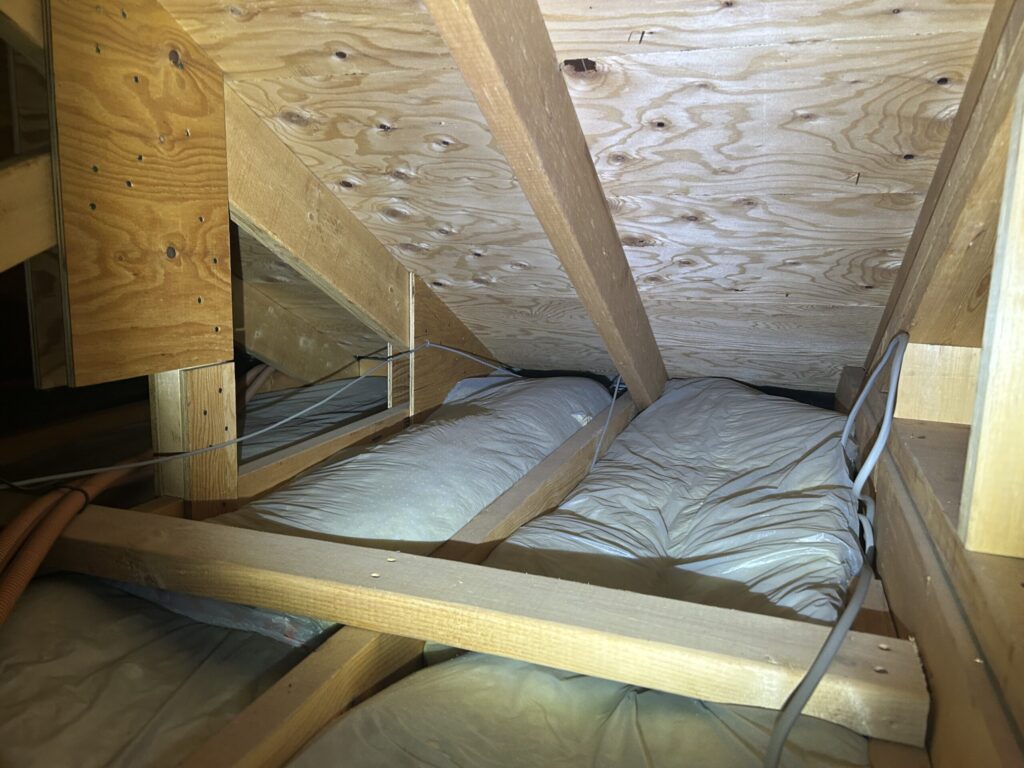 日進市のコウモリ駆除対策施工｜Ｏ様邸 4