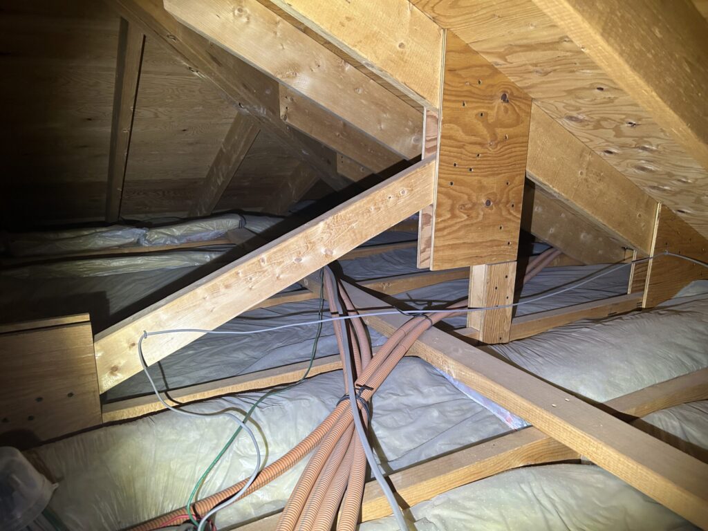 日進市のコウモリ駆除対策施工｜Ｏ様邸 3