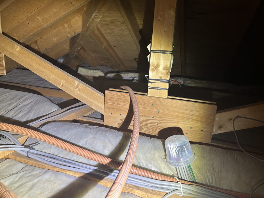 日進市のコウモリ駆除対策施工｜Ｏ様邸 2