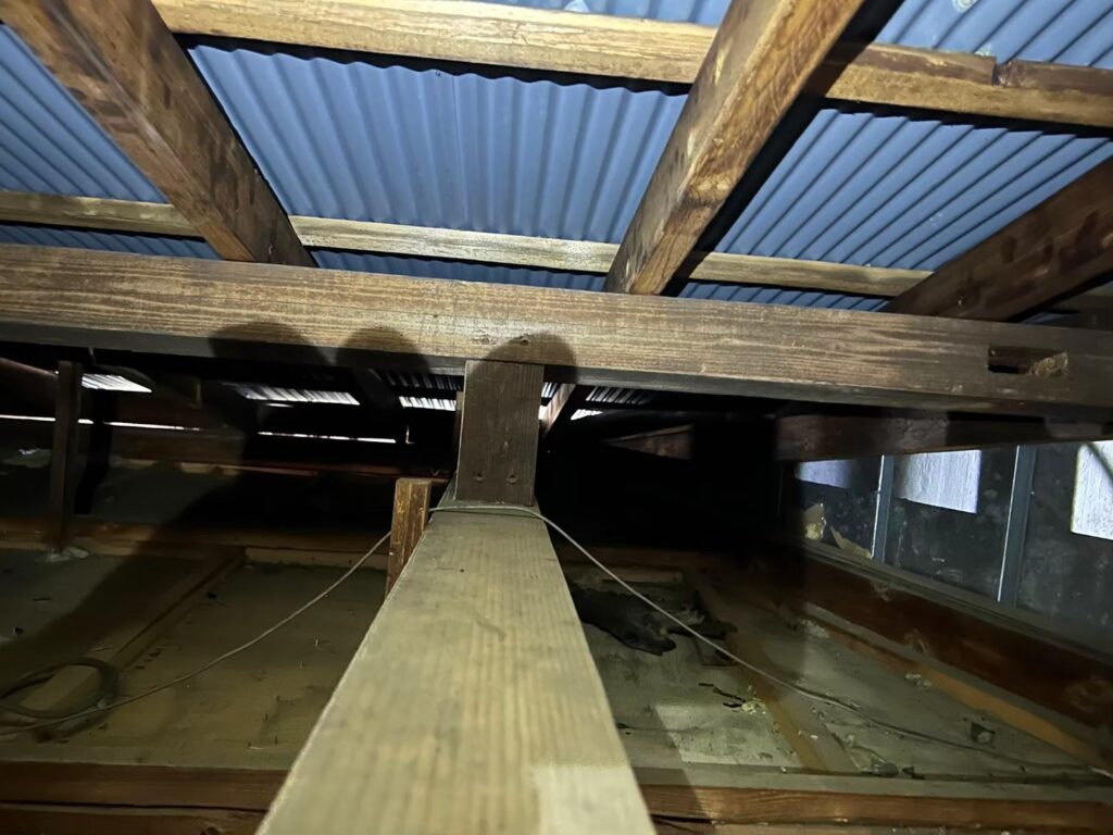 横浜市のアライグマ対策工事｜J様邸 1