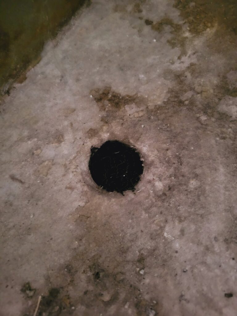 西宮市のネズミ対策工事｜Ｎ様邸 2