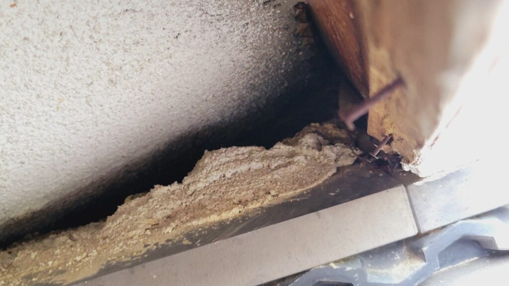 京丹波町のアライグマ対策工事｜Ｉ様邸 2