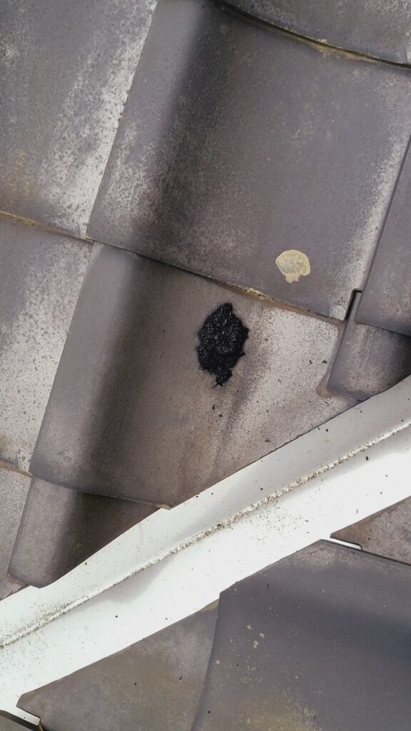 京丹波町のアライグマ対策工事｜Ｉ様邸 3