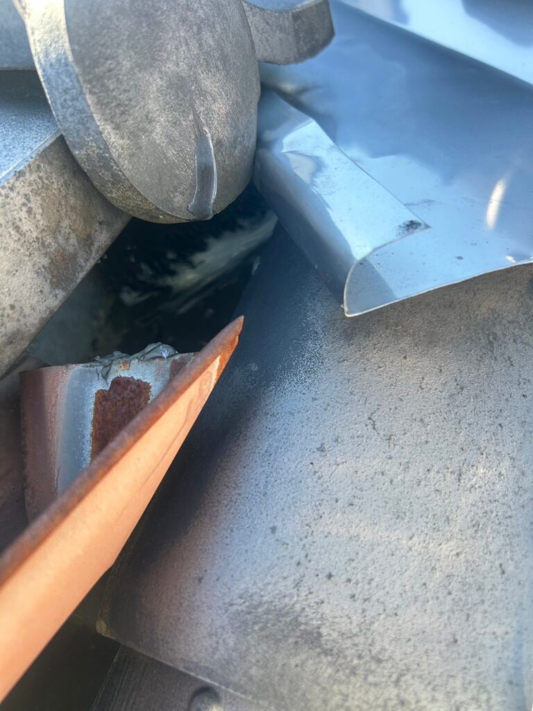 京丹波町のアライグマ対策工事｜Ｉ様邸 6